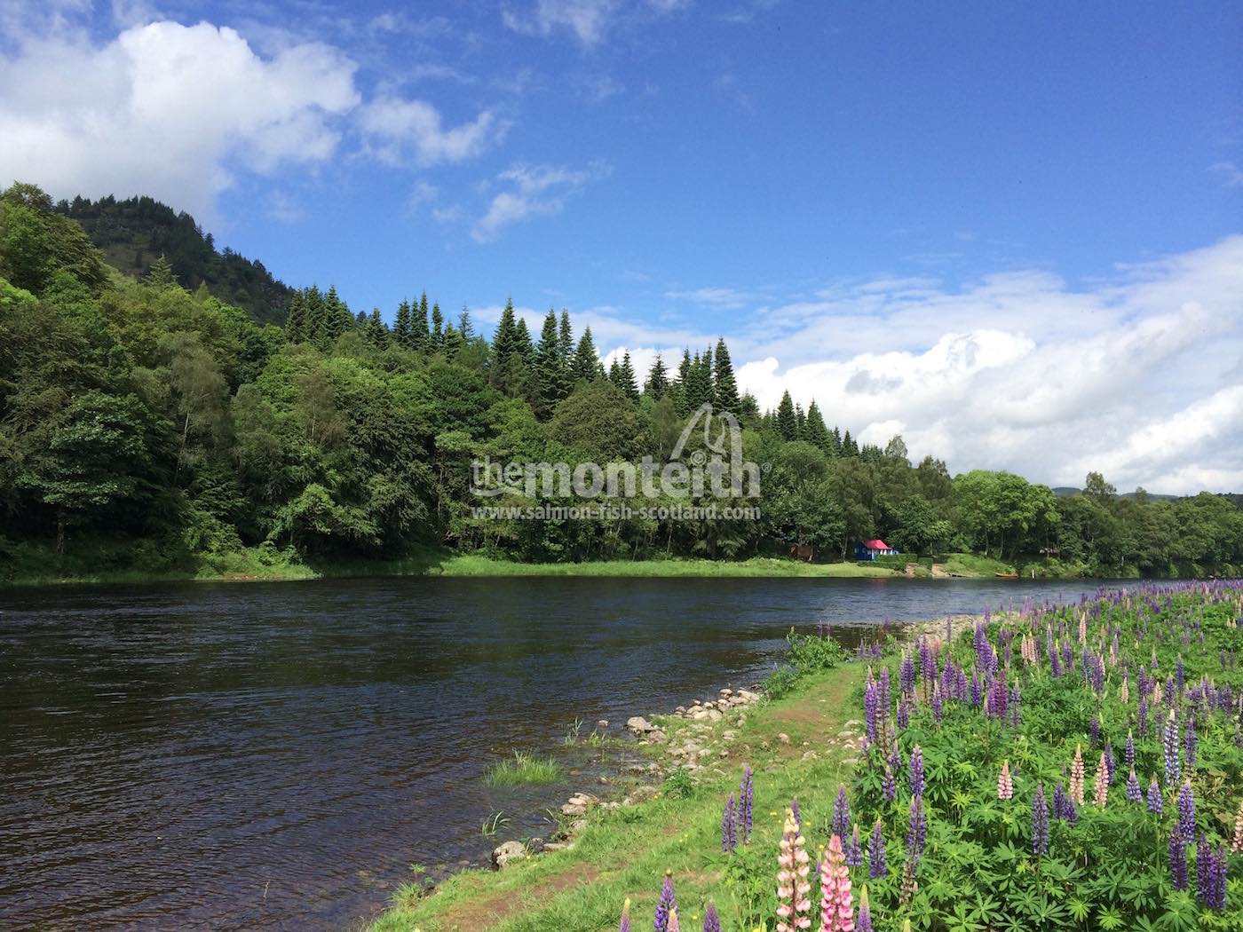 The Boil Pool on the Newtyle salmon fishing beat of the River Tay.