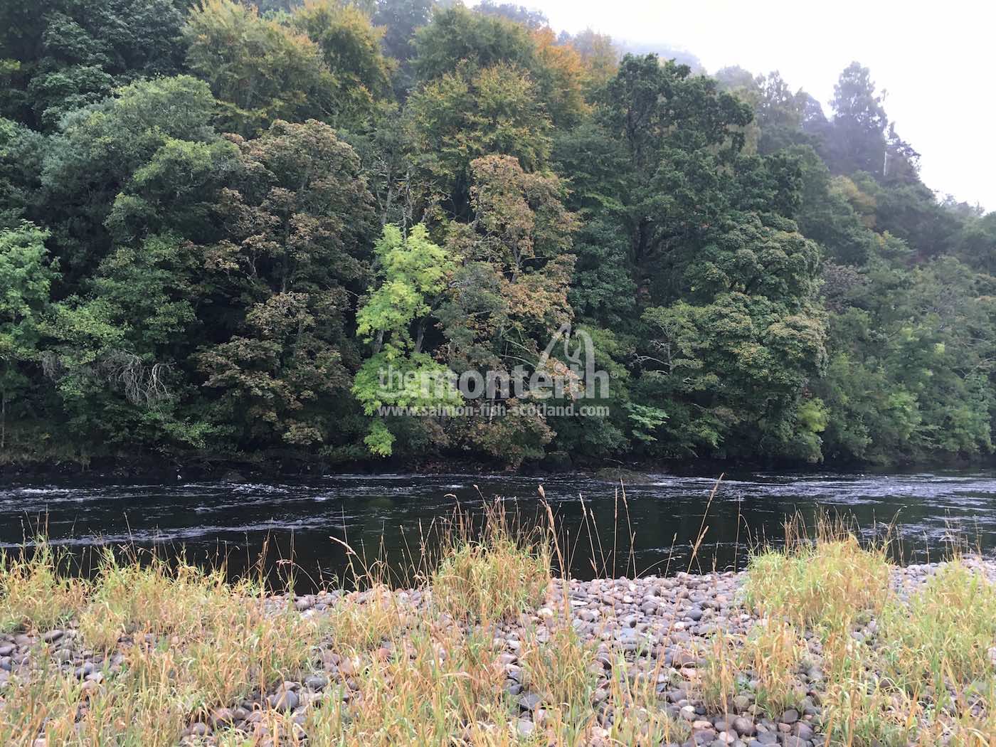 The Island Pool On The Newtyle Beat River Tay