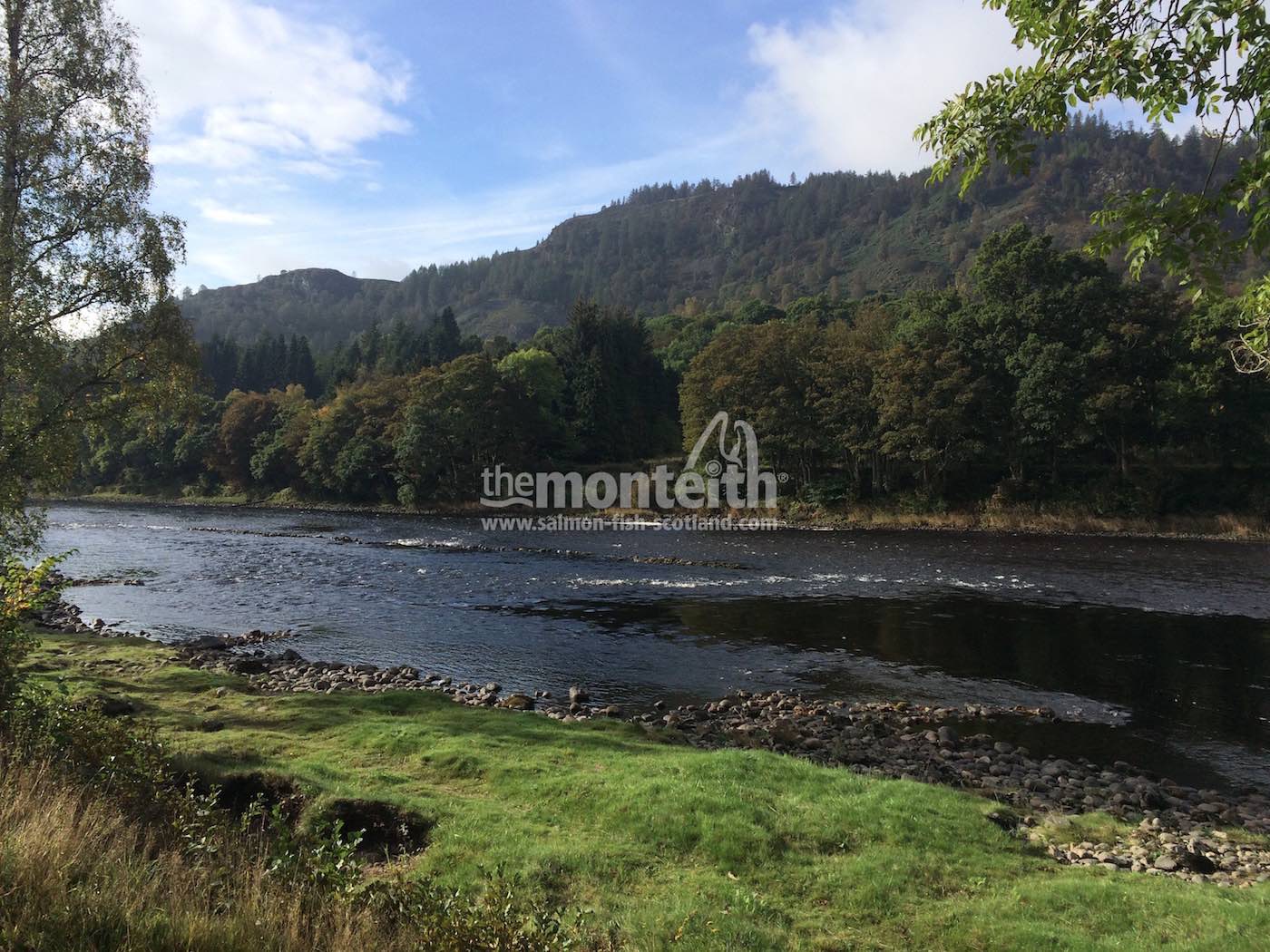 The River Tay Salmon Fishing Guide