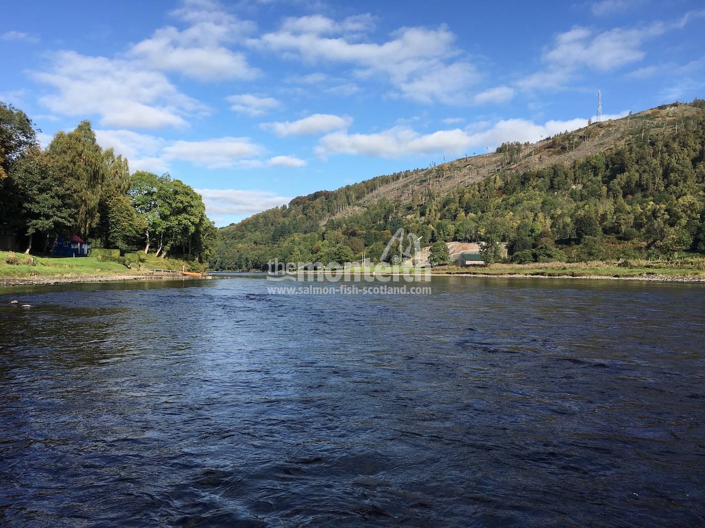 Newtyle Beat River Tay 13