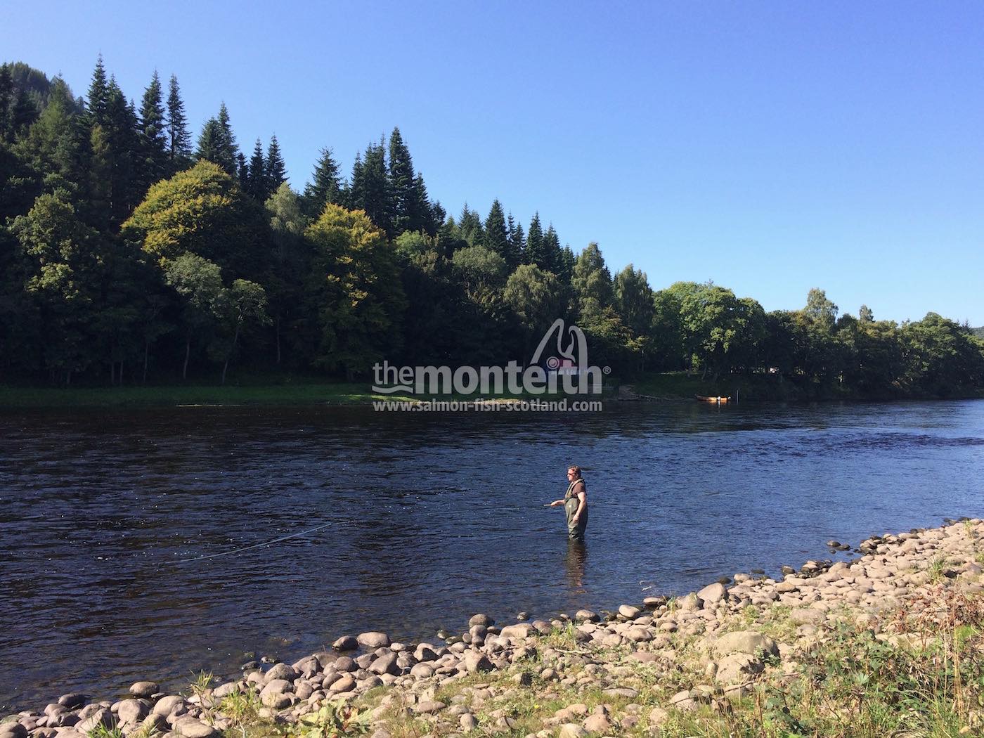 Newtyle Beat River Tay 15