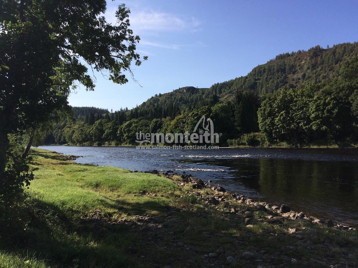 Newtyle Beat River Tay 16