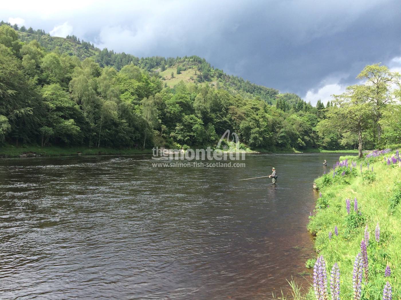 Newtyle Beat River Tay 18