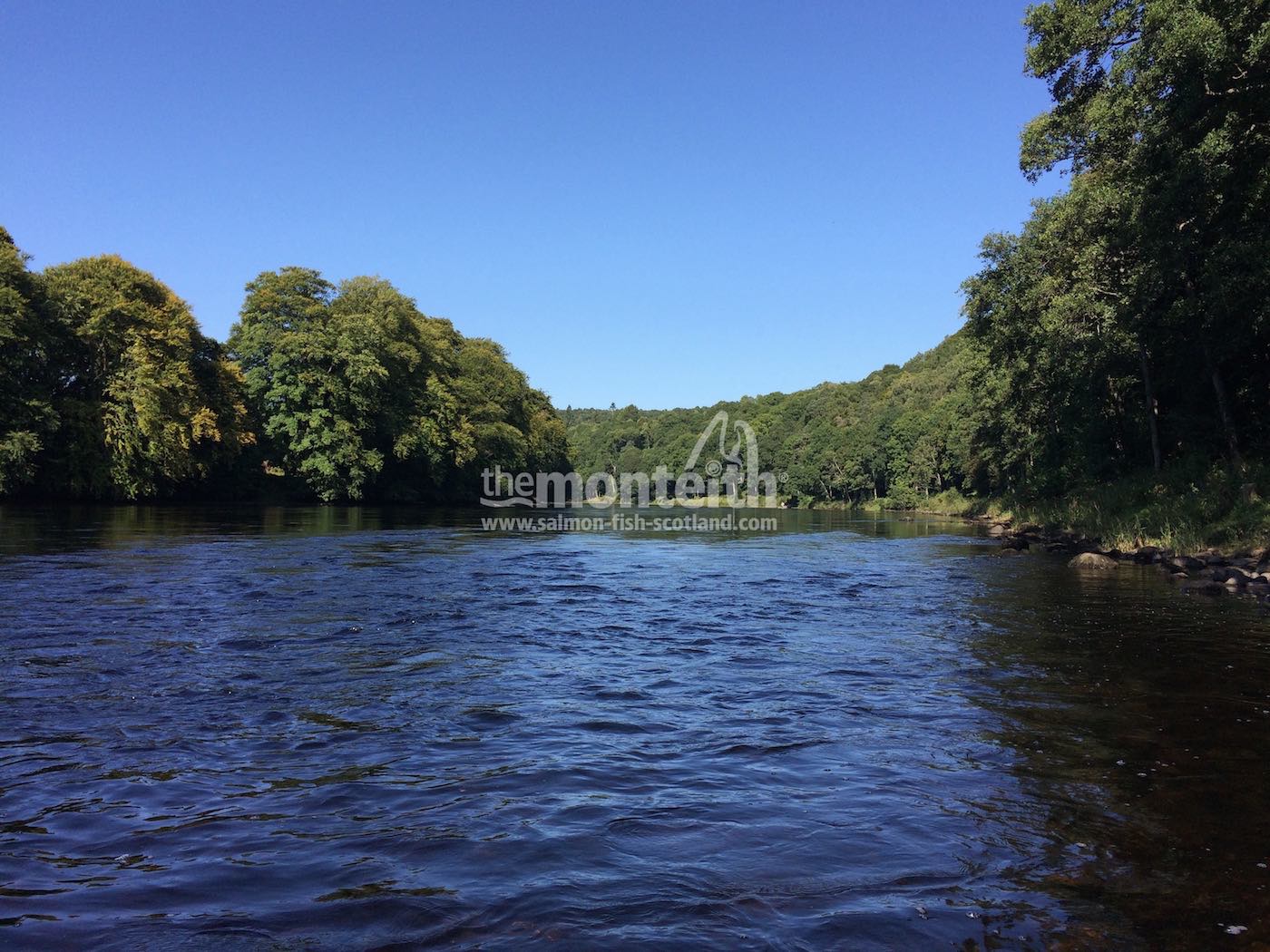 Newtyle Beat River Tay 21