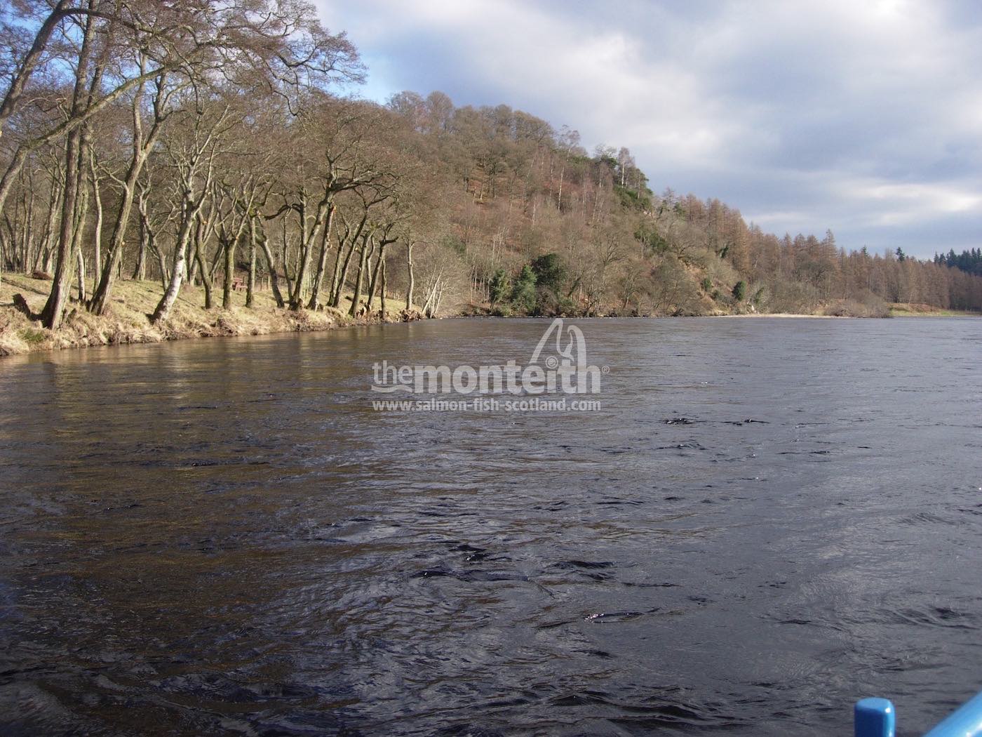 Newtyle Beat River Tay 22