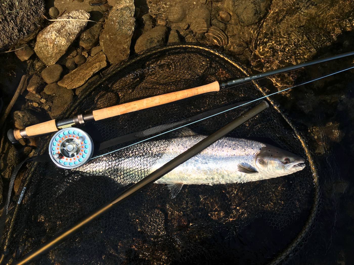 Here's a lovely shot of a fresh run River Tay salmon from the Kinnaird Beat in the landing net before release. It's always a good thing to take a nice shot of your catch even when you're fishing alone. Even as a professional fly fishing instructor and salmon fishing guide I always take a photograph of all salmon I catch. This fine fish is lying in my McLean salmon landing net beside my hHardy fly rod and Van Staal salmon fly reel.