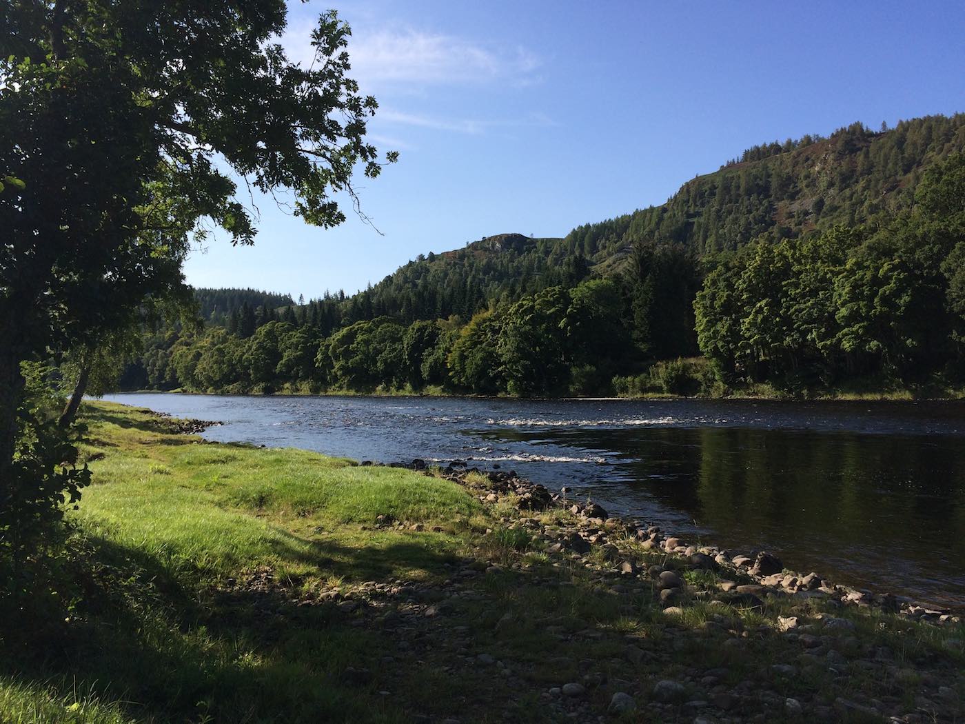 This little River Tay salmon pool is a favourite for salmon fishing guides to bring their fly fishing instruction guest to. The dark water you see is the main salmon lie and casting a salmon fly out to this area is easy from the gently tapered riverbank of the salmon pool which I named The Trap.