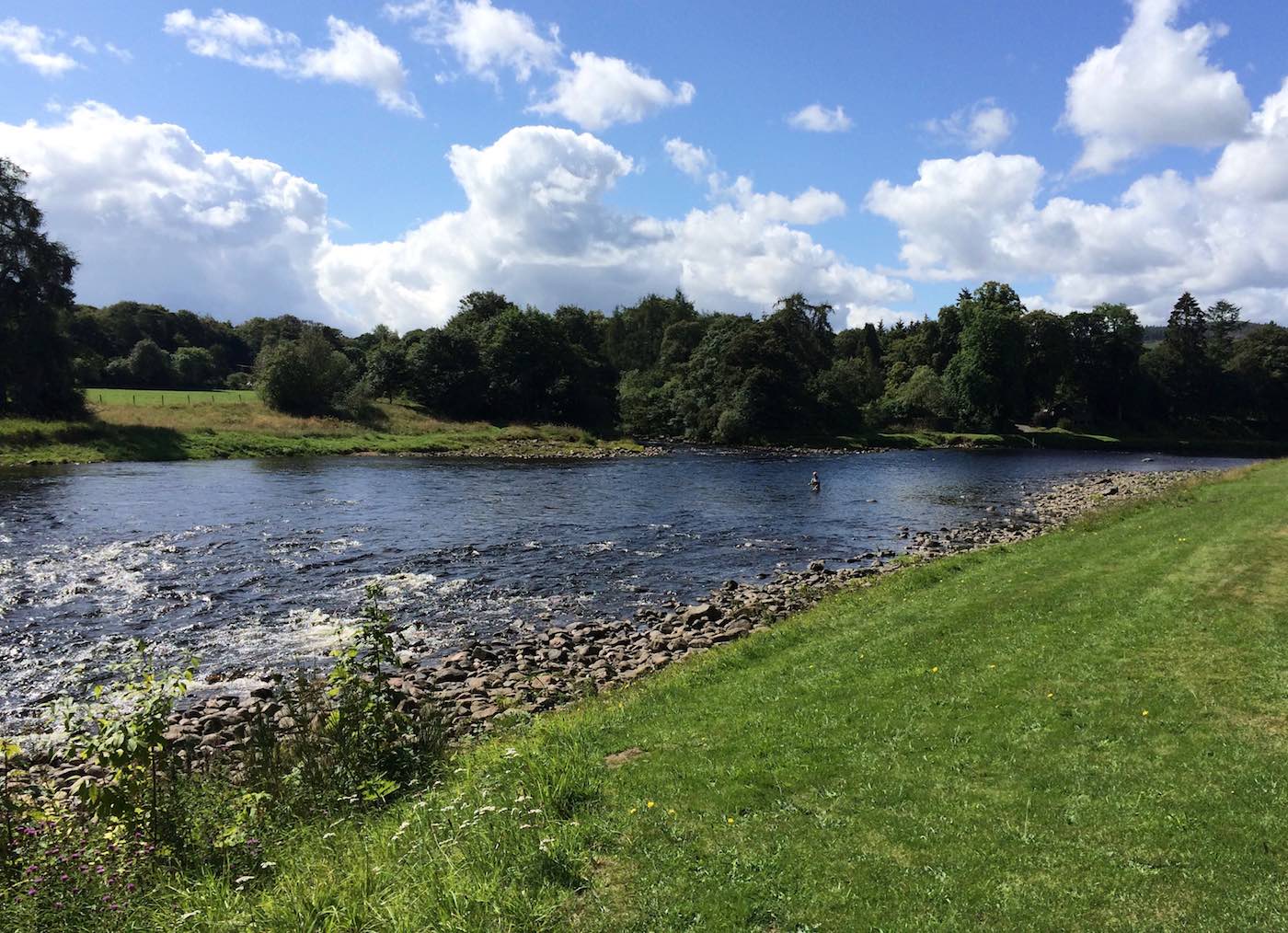 This is the view of the River Dee from the Banchory Lodge Hotel in Banchory. The Banchory Beat has exceptional salmon fishing and especially through the Summer months when accompanied by a professional River Dee salmon fishing guide. On the other side of the river to the right of frame is the mouth of the River Feugh which is a significant spawning tributary for salmon & sea trout in the Banchory area of the Dee.