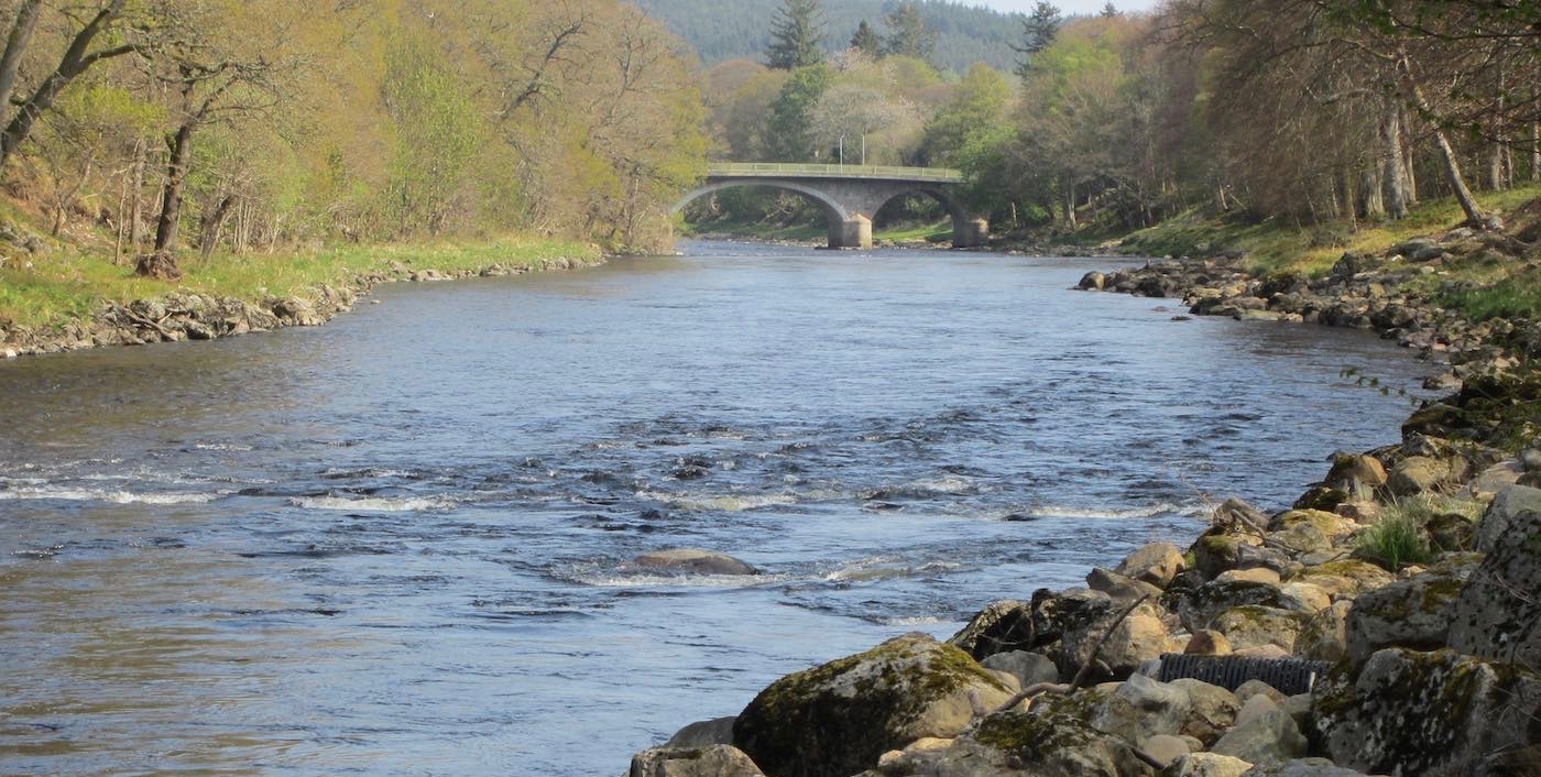 Here's a shot of the Lower Blackhall salmon beat looking downstream to the Banchory Bridge on the River Dee.