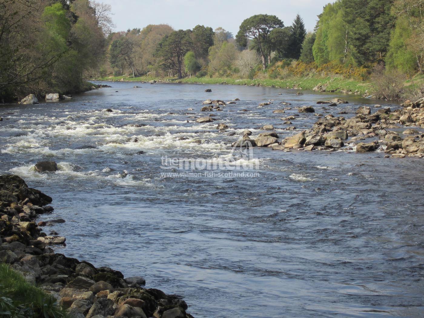 Lower Blackhall Beat River Dee 7