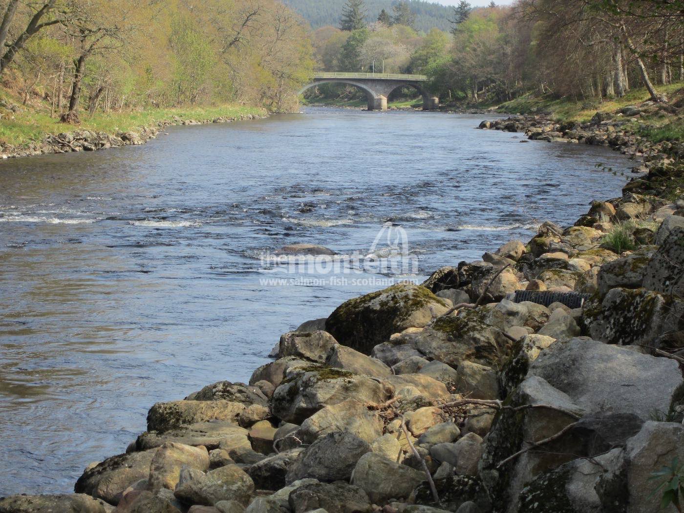 Lower Blackhall Beat River Dee 6