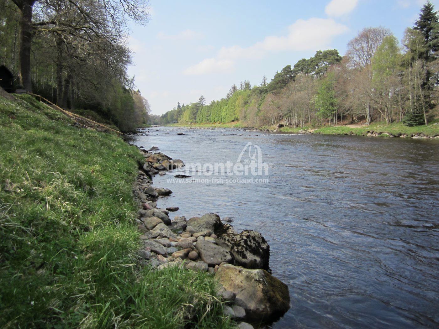Lower Blackhall Beat River Dee 12