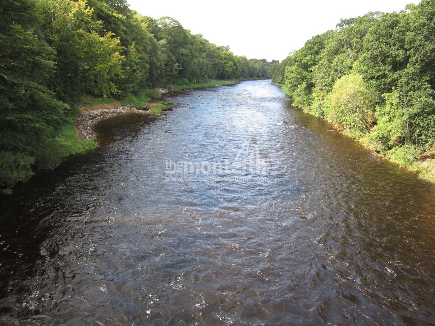Lower Blackhall Beat River Dee 9