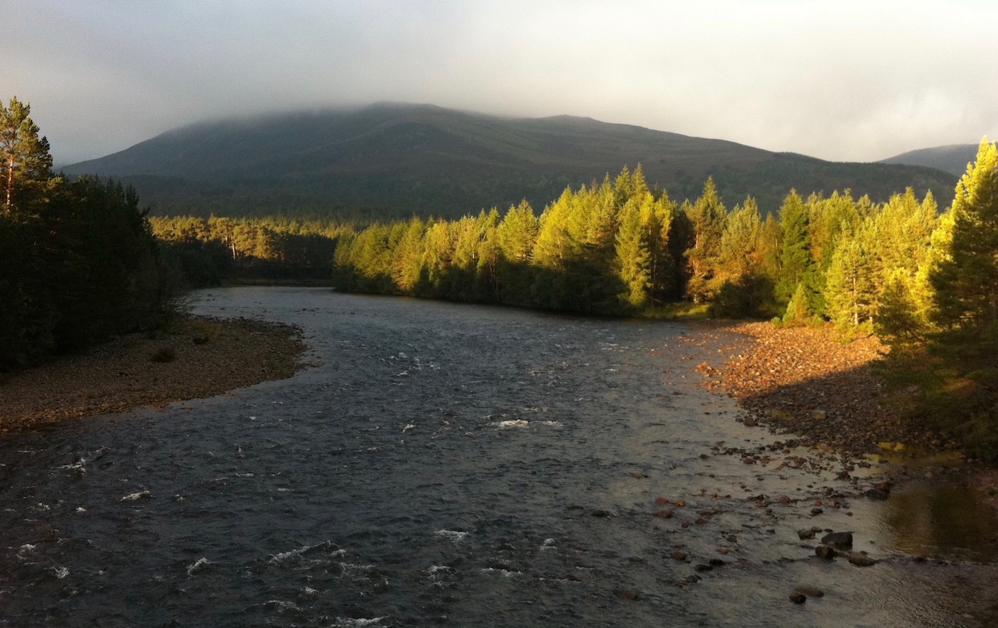 Here's the River Dee with the Cairngorm Montain range in the distance. Look at this perfect streamy salmon fly fishing water which is really treasured by our River Dee salmon fishing holiday guests.