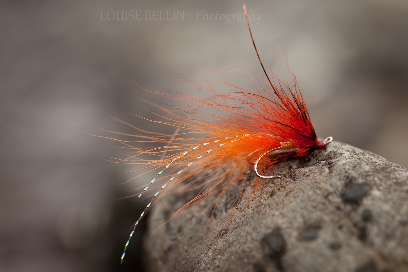 This is a very deadly salmon fly throughout the salmon fishing season in Scotland. This 'Jock's Shrimp' pattern I developed over a 5 year period of daily riverbank salmon reaction observations on the River Tay while working as a professional Scottish salmon ghillie in Perthshire. 