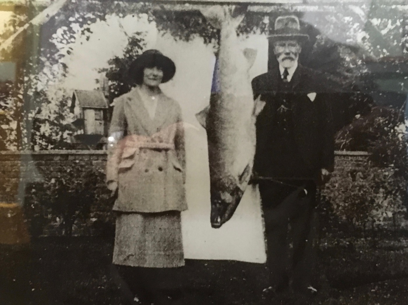 Georgina Ballantine's 64 lbs salmon from the Glendelvine Beat of the Tay was caught on the 7th of October 1922. This British record salmon was finally landed in the darkness downstream of the then old iron Caputh Bridge after and epic battle that lasted over an hour. The fish was hooked in the Boat Pool neck a few hundred yards upstream of the Caputh Bridge. The old Iron Caputh Bridge was dismantled 20+ years ago and now there's a slick new modern road bridge there. If you look over the upstream side of the new bridge you can still see the stanchion foundations of the old bridge on the riverbed.