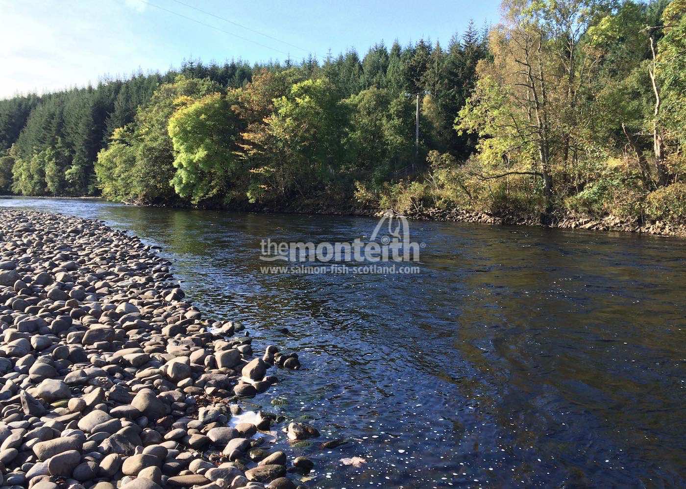 Lower Tummel 10