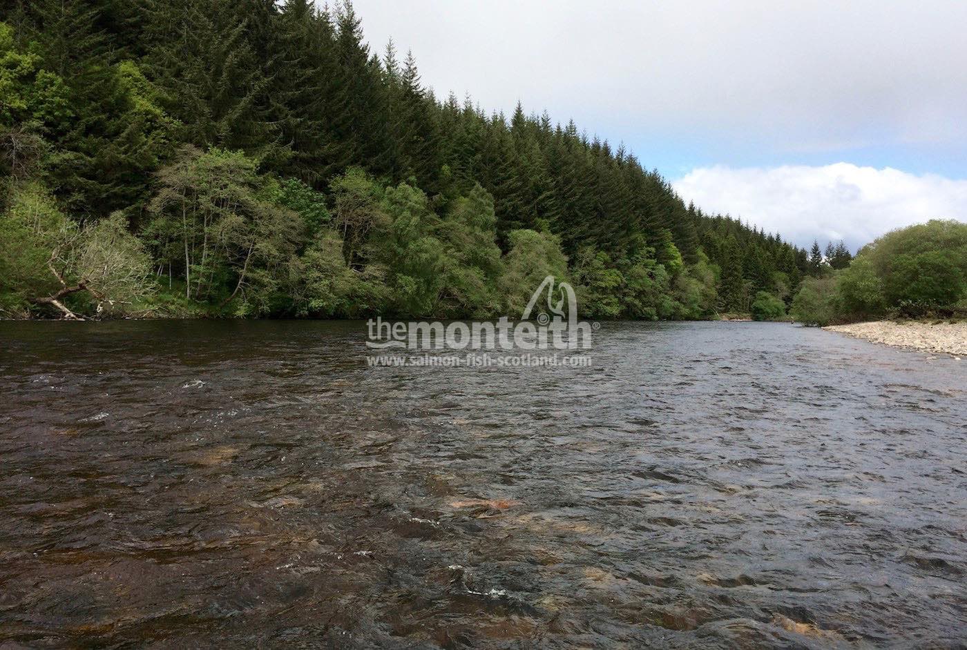 Lower Tummel 21