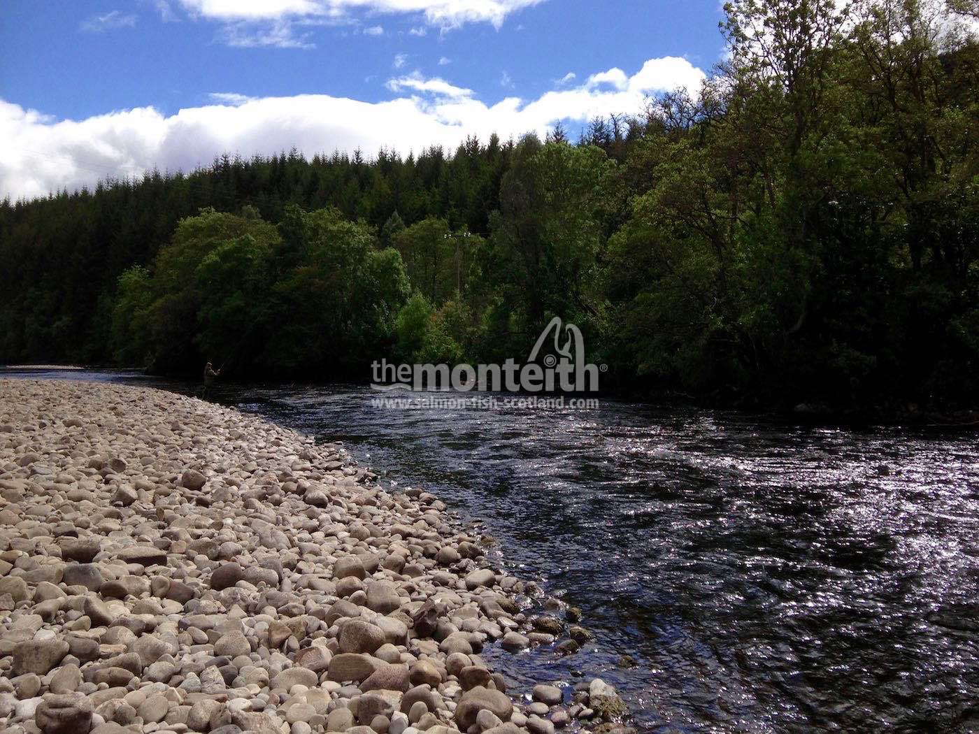 Lower Tummel 19