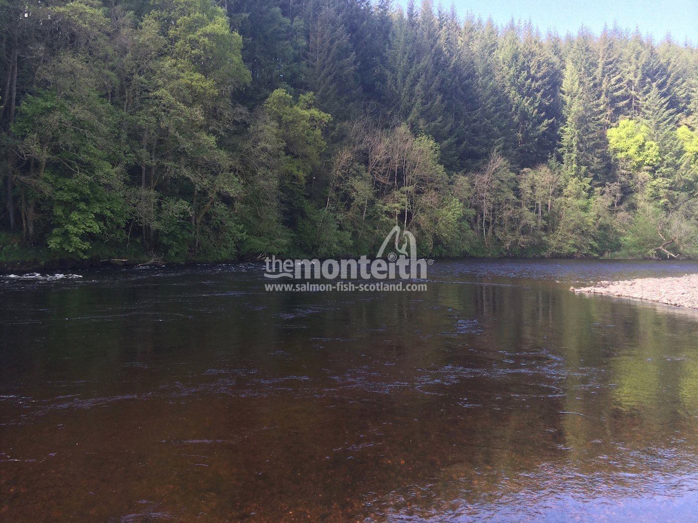 Lower Tummel 30