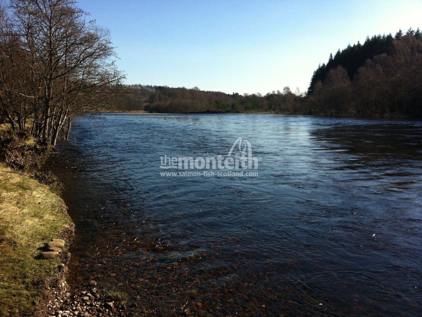 Lower Tummel 31