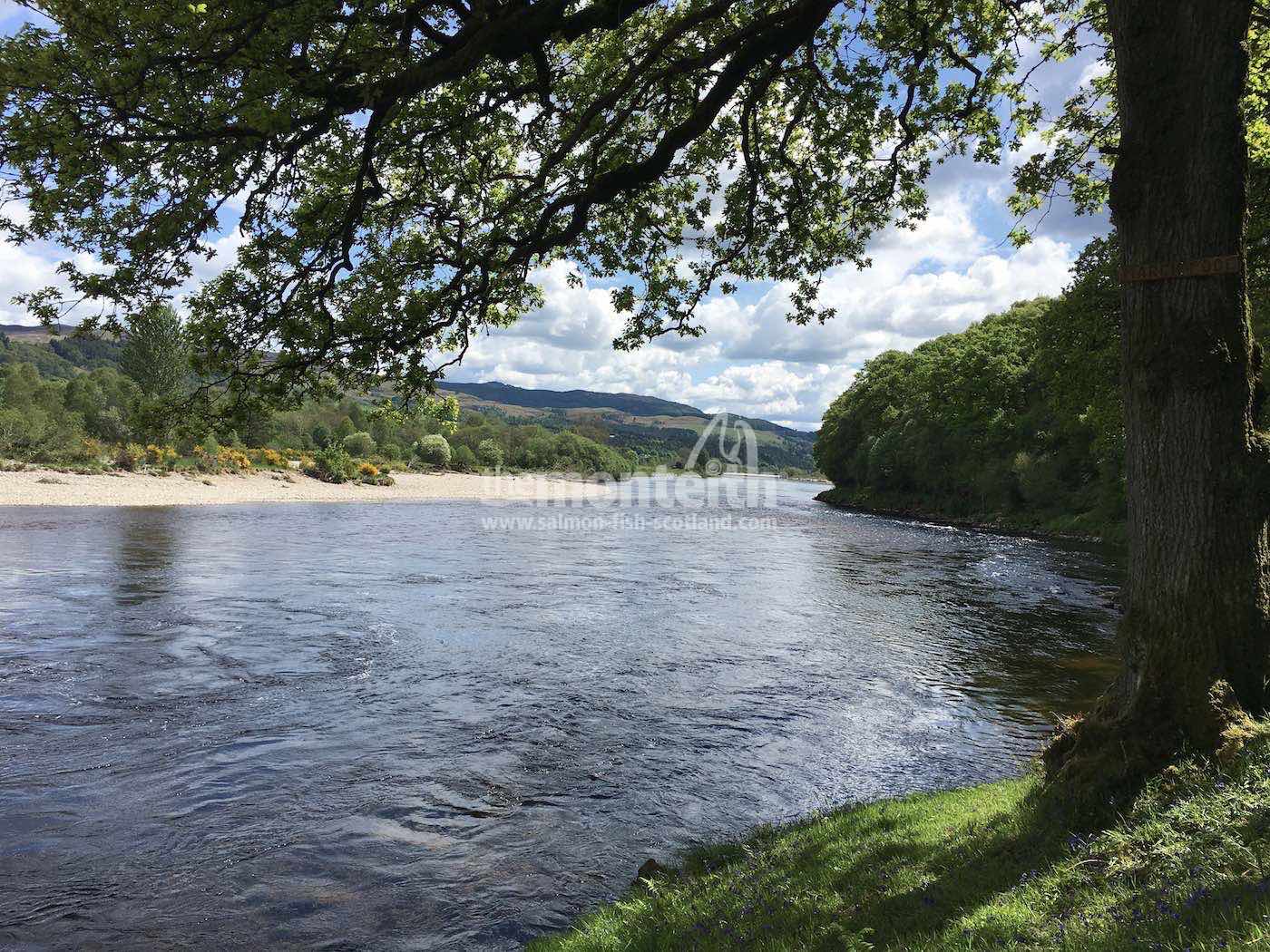 Upper Kinnaird 20