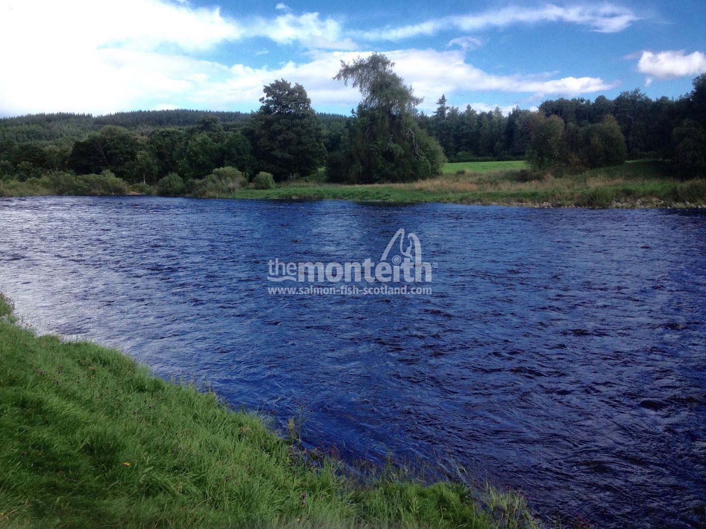 Banchory Beat 7
