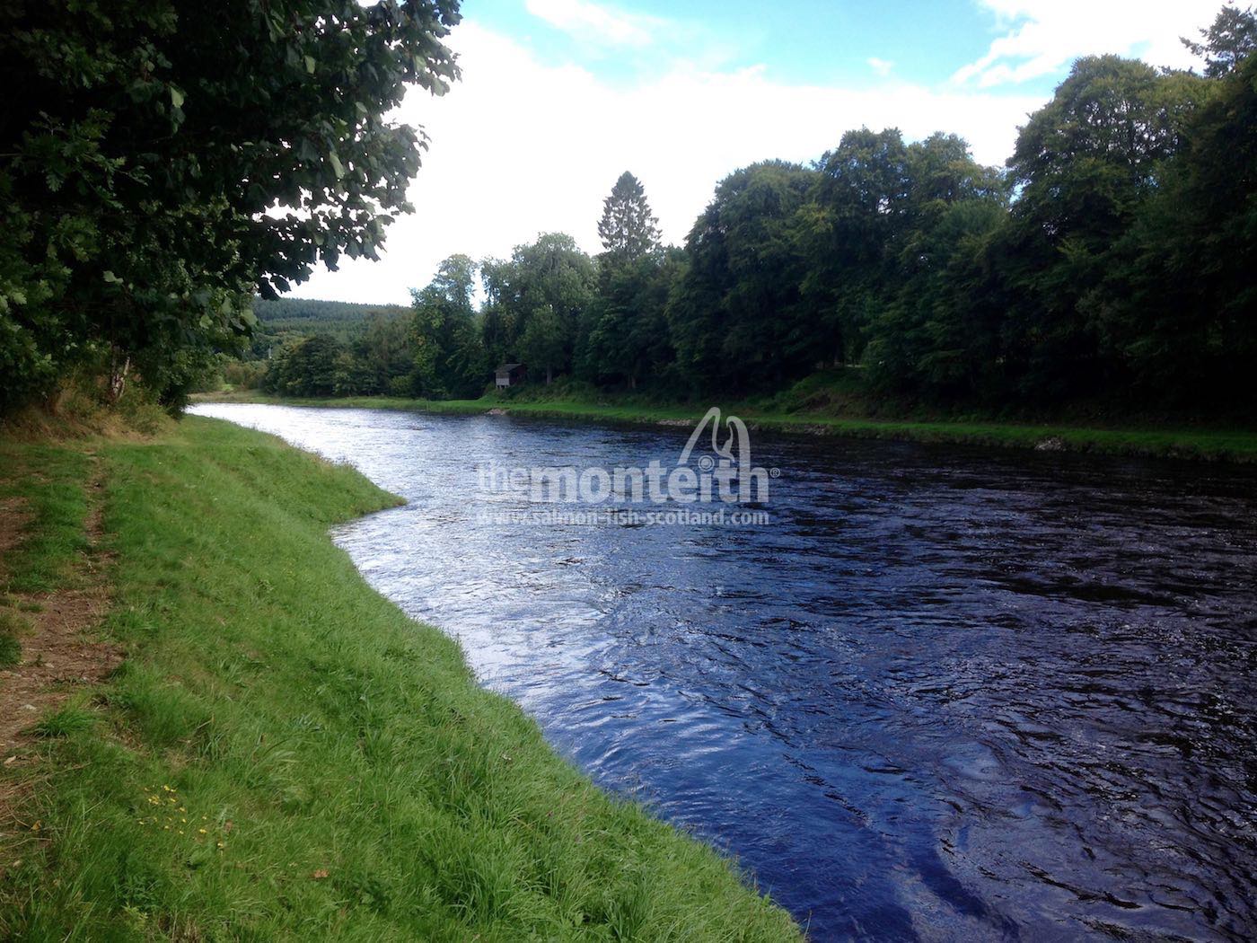 Banchory Beat 12