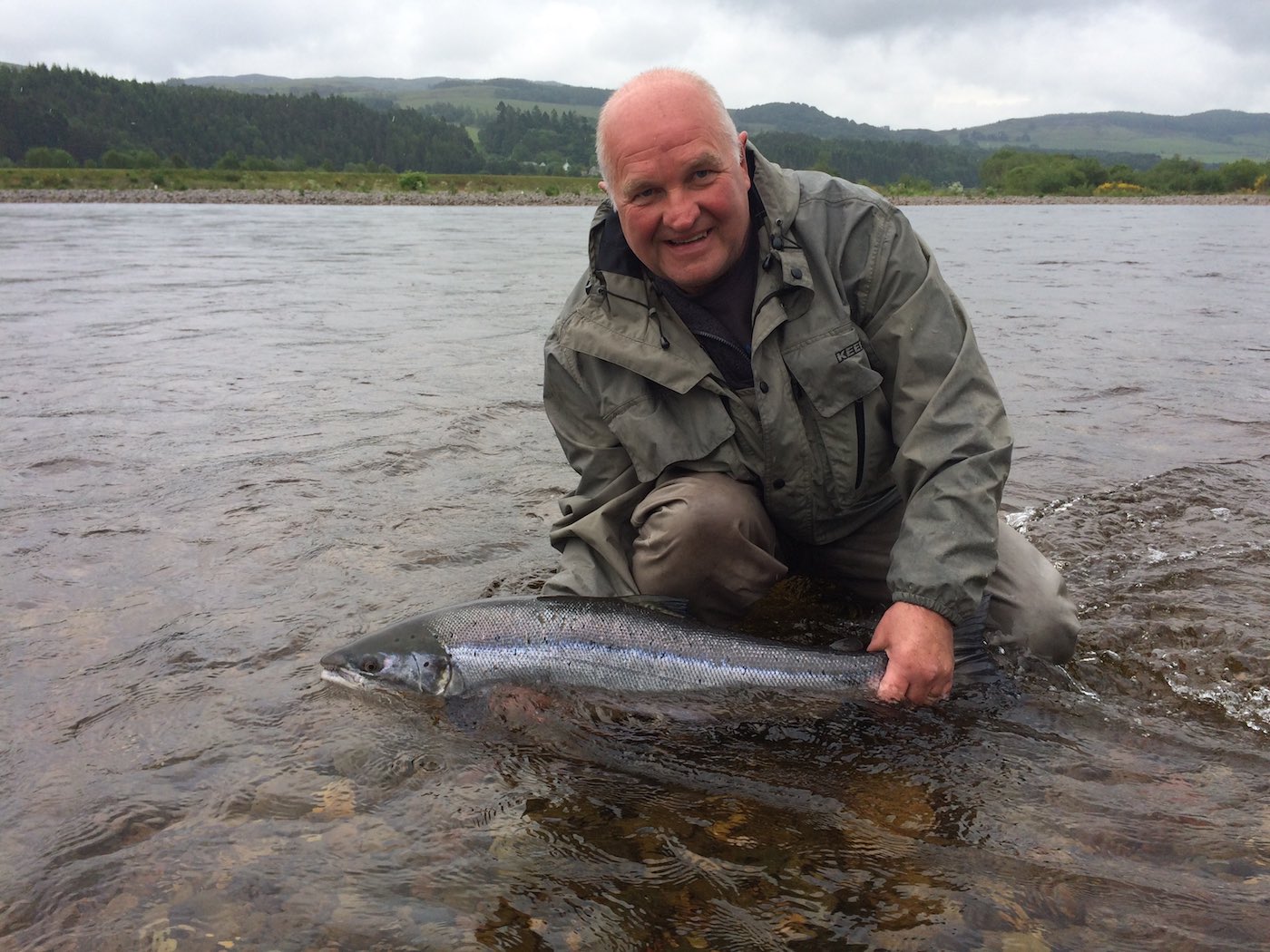 This perfect Summer salmon was hooked at the tail of the Ash Tree Pool on Kinnaird and landed by myself as the salmon guide a few hundred yards down stream at the New Pool. This was a hard running Summer salmon that paused briefly at the tail of the pool just as this salmon fishing trip client was presenting his fly there. This area of the River Tay is very close to the Perthshire village of Dalguise.