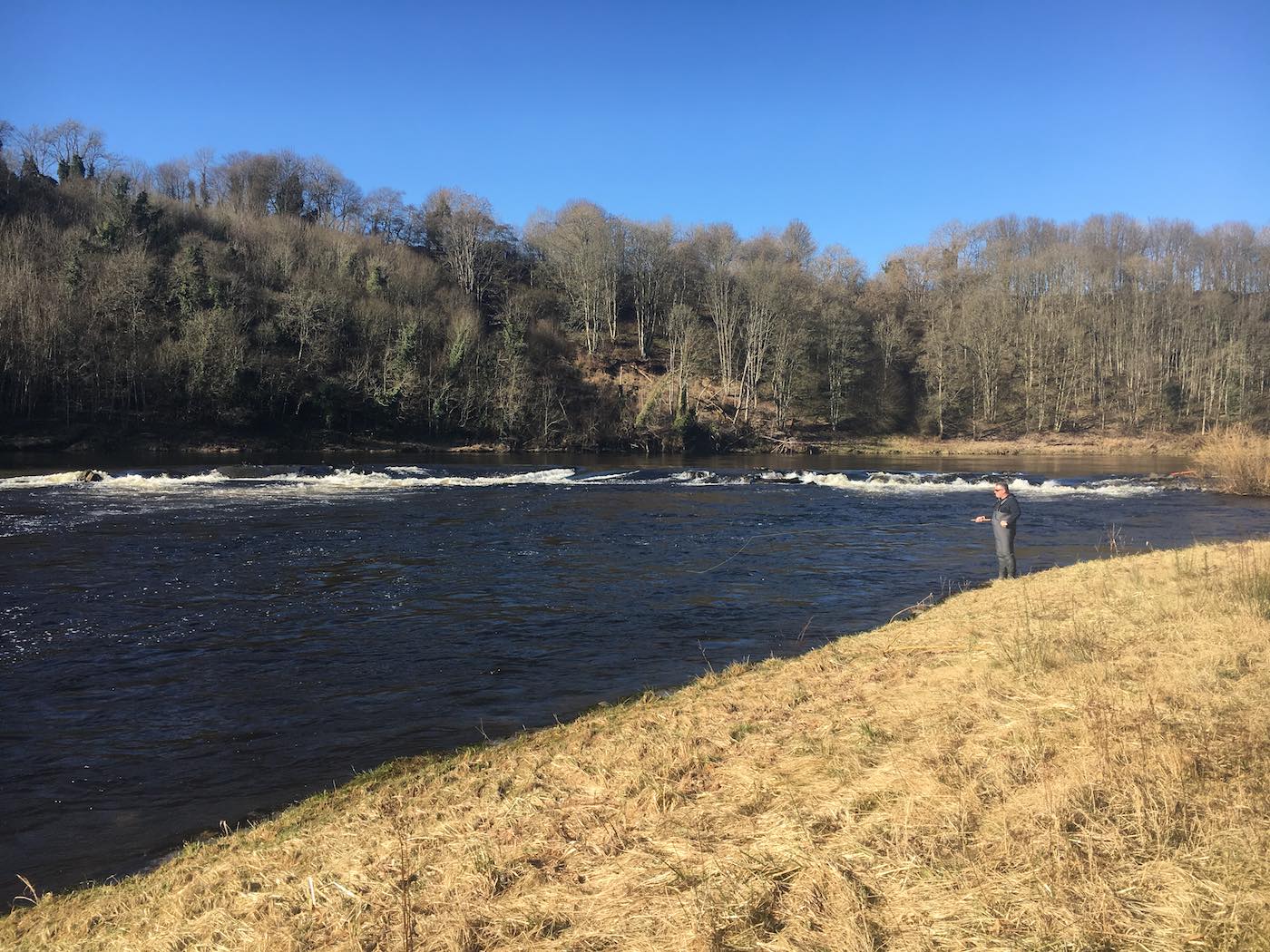 This is a cold water weir stopper for early run River Tay Spring salmon at the lower end of the River Tay near Stanley. Salmon fishing enthusiasts often wait here like like fisher for the arrival of Spring salmon knowing fine well the concrete weir will stop these fish for a while. Good ambush tactics often pay dividends as was the case here on this bright early Spring salmon fishing day.