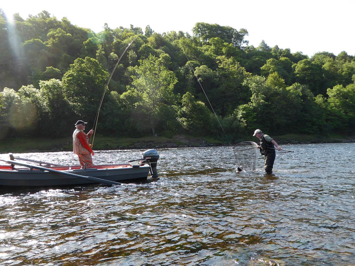 Here's a fine Summer River Tay salmon being netted by the beat ghillie at the stern of the boat. The Lower River Tay is a productive area for catching salmon from the Summer to Autumn part of the River Tay fishing season when many salmon congregate here. This fish was caught with some professional salmon instructor assistance on the Tay's Benchil Beat.