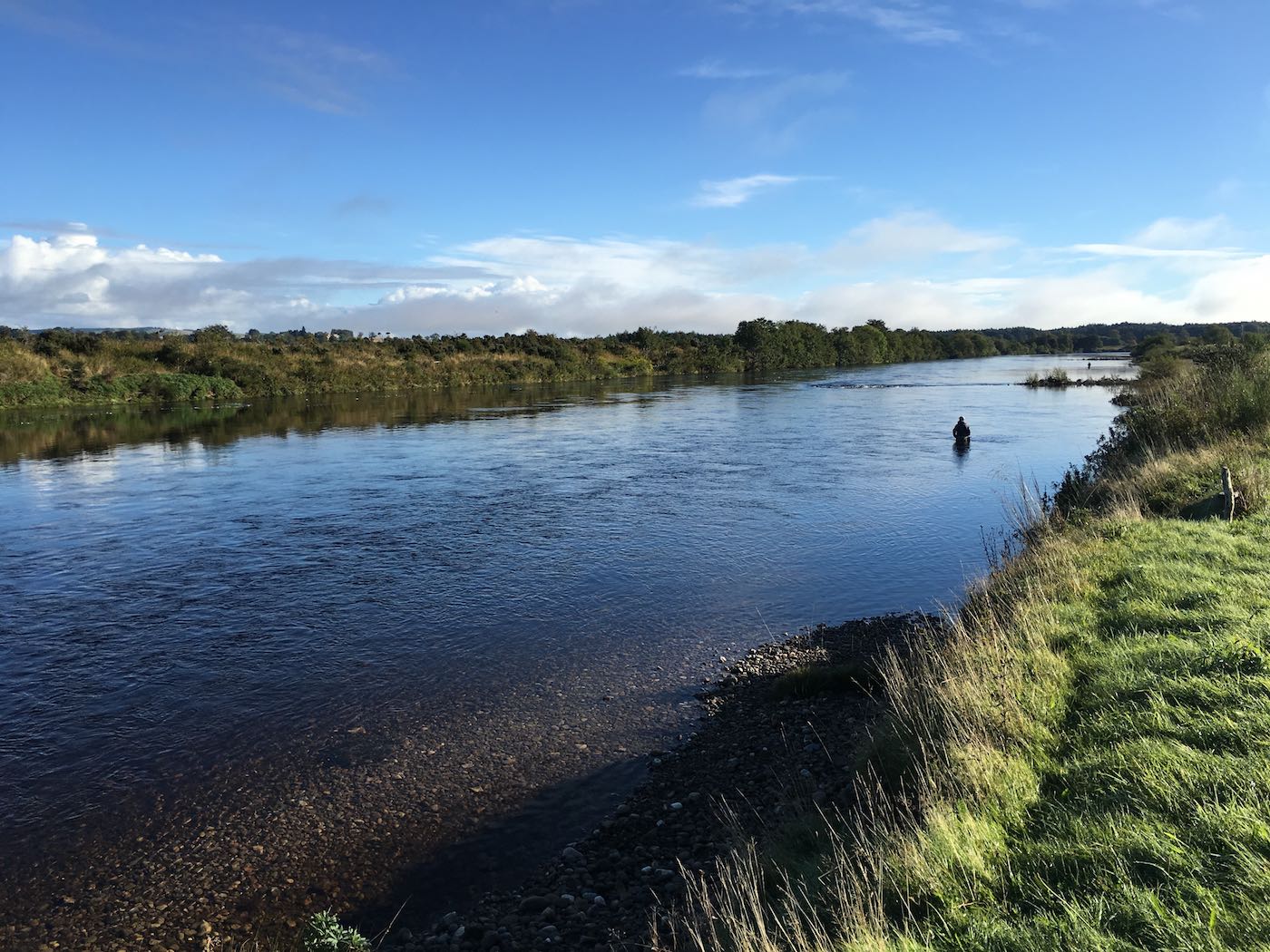 Here's a shot of a lone salmon fishing angler wading down through The Croys Pool of the River Tay which is located near the Perthshire village of Murthly. Wading no further than knee depth is a safer way to fish and will spook less salmon too like you see here. You can see the shallow water in the foreground of this shot which makes it easy for a shallow wade through the pool.
