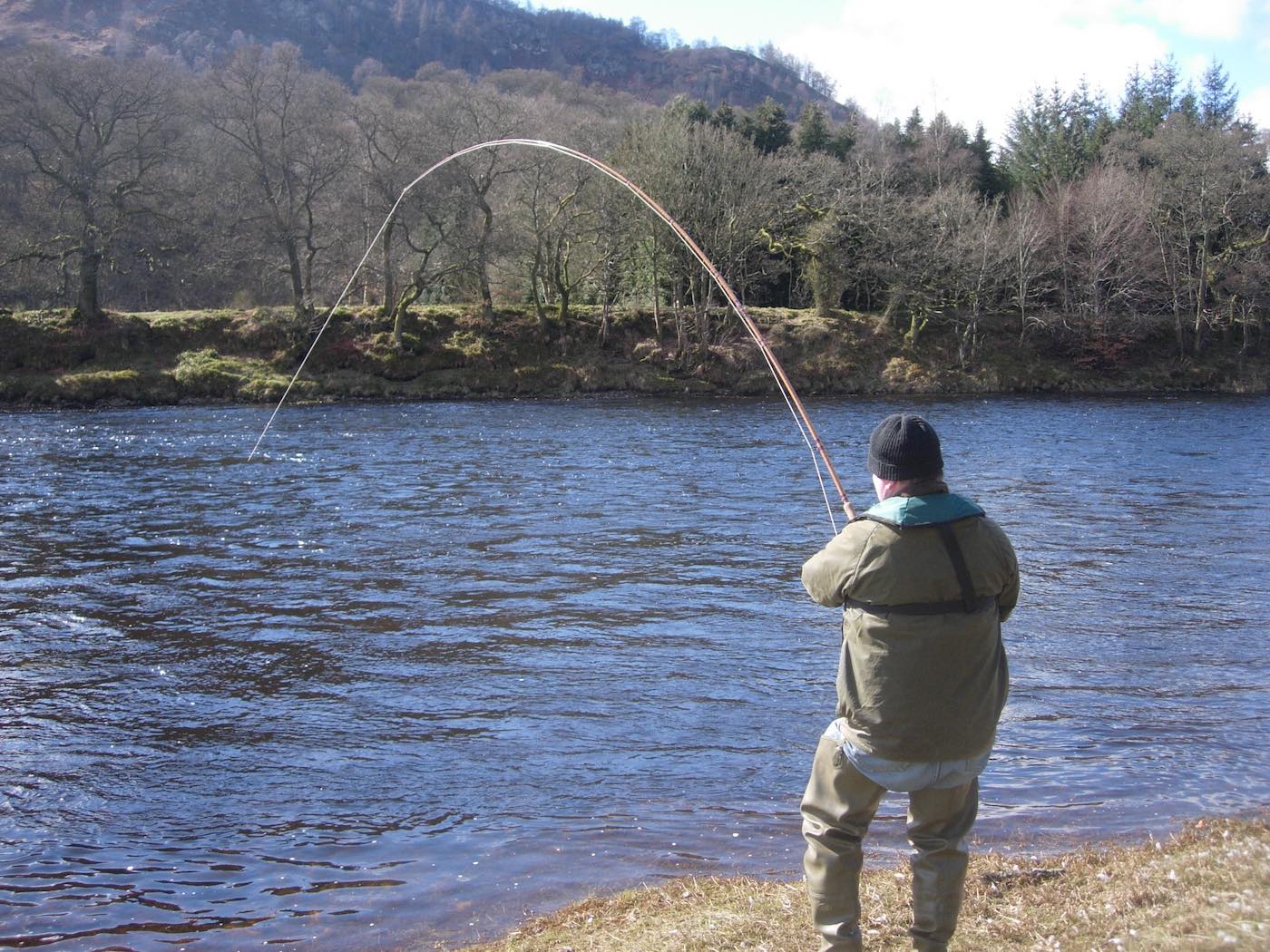 Here's a River Tay salmon fishing trip guest buckled into a super fit fresh run Spring salmon in the Cottar Pool of the Newtyle Beat. This was one of five perfect salmon we caught that day and every fish was hooked from the boat then taken to the riverbank to play, land & release. 