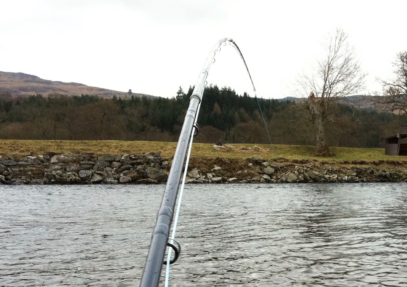 Tape your salmon fly rod joints tightly with pre-stretched electrical tape exactly centred between both joints like you can see here. 5 or 6 turns of taut tape will stop the rod twisting from loosening off the joints which if that happens could easily end up in rod joint damage. A good salmon fly rod will last a lifetime if this simple taping protocol is followed before every fishing outing. This shot was taken of me playing a salmon in the Guay Pool on the Lower Kinnaird salmon beat of the River Tay while I was working as a salmon fishing instructor.