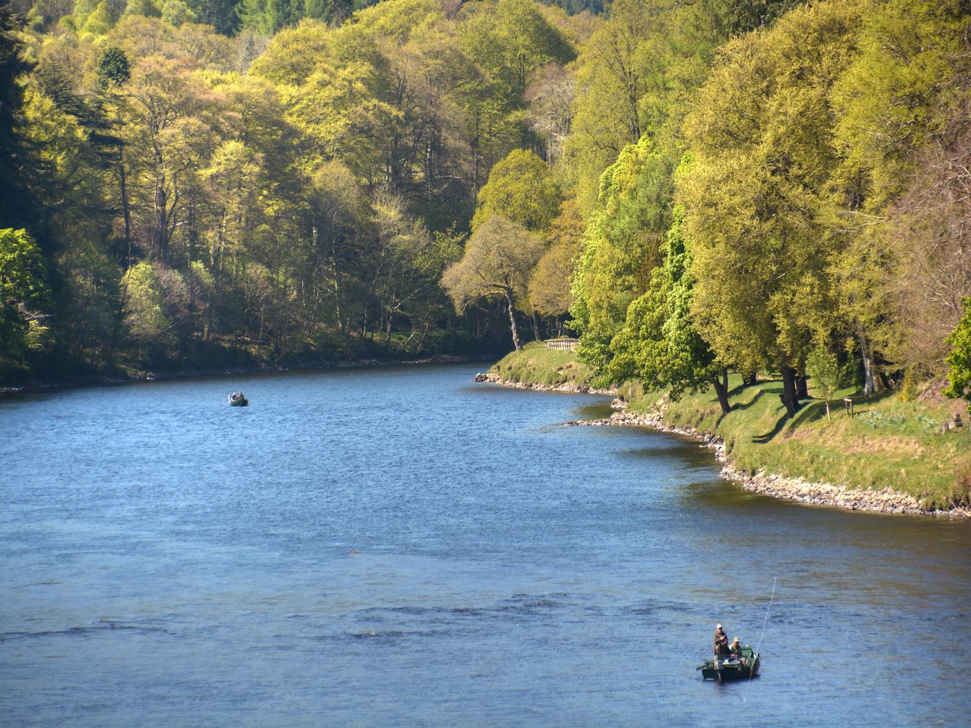 This upstream shot of the River Tay was taken from the 200 year old Telford Bridge and shows a traditional River Tay salmon fishing boat out in the Cathedral Stream pool with 2 salmon fishing holiday guests. This perfect shot was taken during the month of May which is an exceptionally beautiful time of year in the Tay Valley for a salmon fishing holiday as you can clearly see here.