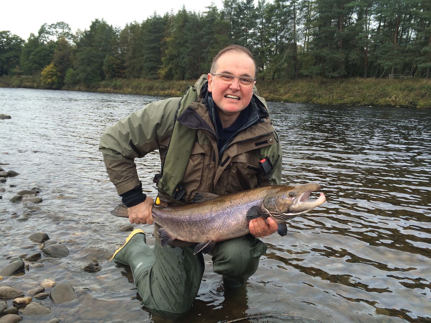 This was one of 2 perfect Autumn salmon caught by 2 salmon fishing trip guests who drove from Switzerland all the way to Scotland to fish the River Tay. This was their first salmon which was caught on a fly and their 2nd fish was caught on a spinner.