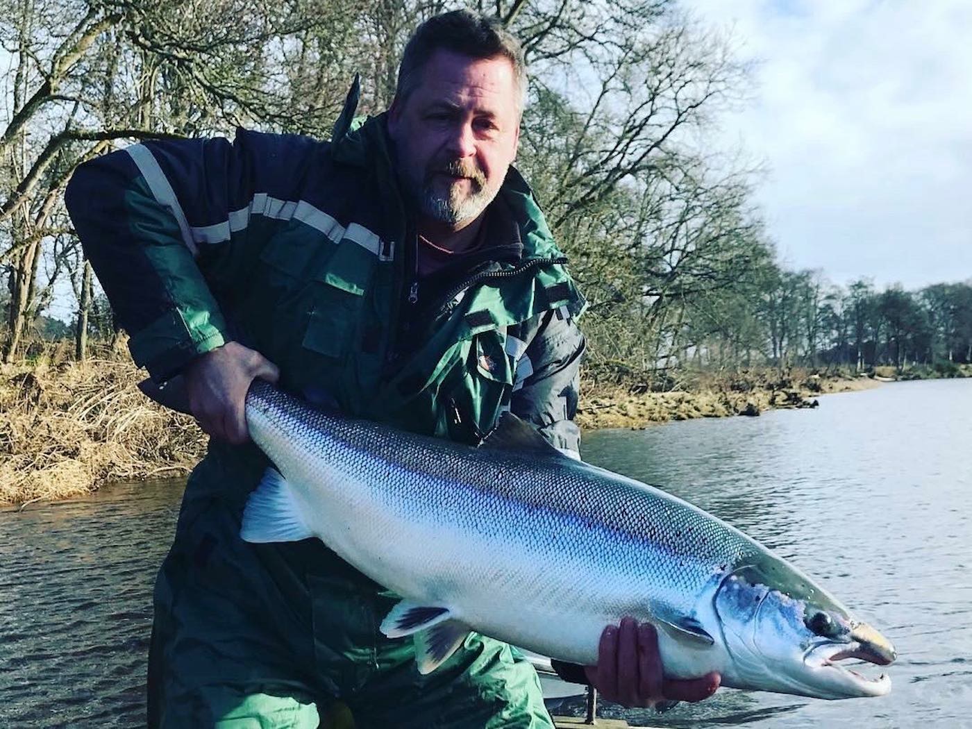 Here's professional salmon fishing guide Steve McIrvine holding a perfect heavyweight Spring salmon of 35lbs which he caught during the month of February when he was the Head Ghillie on the Glendelvine Beat of the River Tay near the Perthshire village of Murthly. Steve is now one of the Ballathie Beat professional ghillies near Stanley.