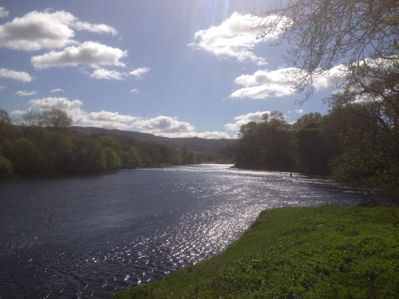 The River Tay pictured here is an amazing place to be while pursuing Atlantic salmon. This sunlit riffle on the water is also good fishing conditions as salmon are less aware of the presence of anglers in these conditions. This location is between Pitlochry & Dunkeld and well worth a visit with or without a salmon fly rod in your hand.
