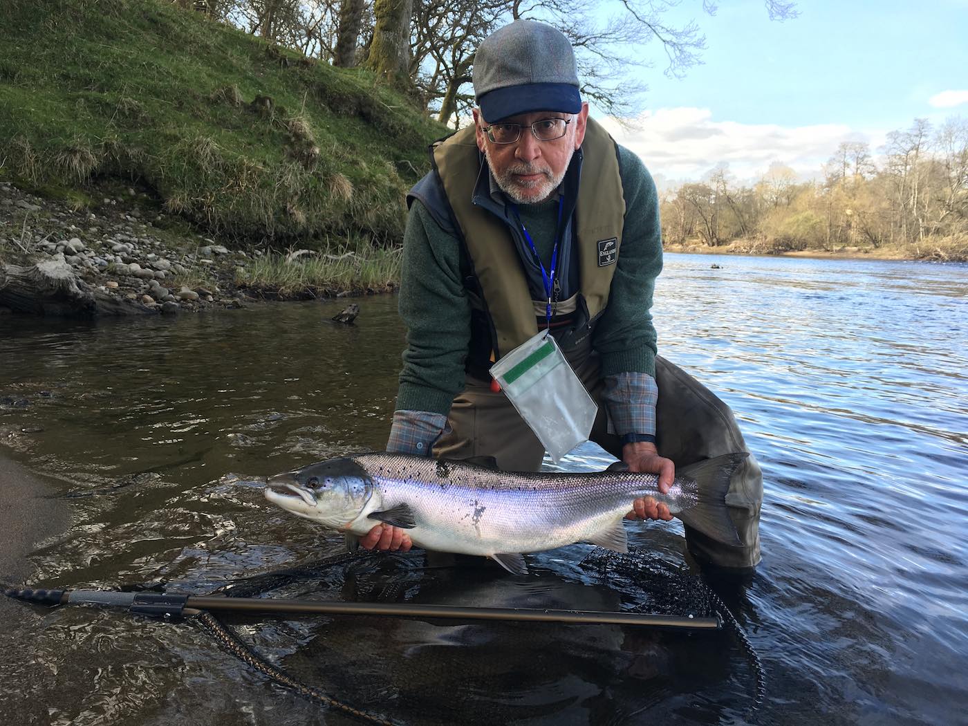 Here's the 1st of 2 perfect early Spring caught salmon from the River Tay in Perthshire by this salmon fishing vacation guest. This angler came up from England with the dream of catching a Scottish salmon on the fly and was rewarded with 2 fine specimens that were caught in rapid succession at the mouth of the River Tummel. I took this shot while serving as his Tay salmon guide that day.