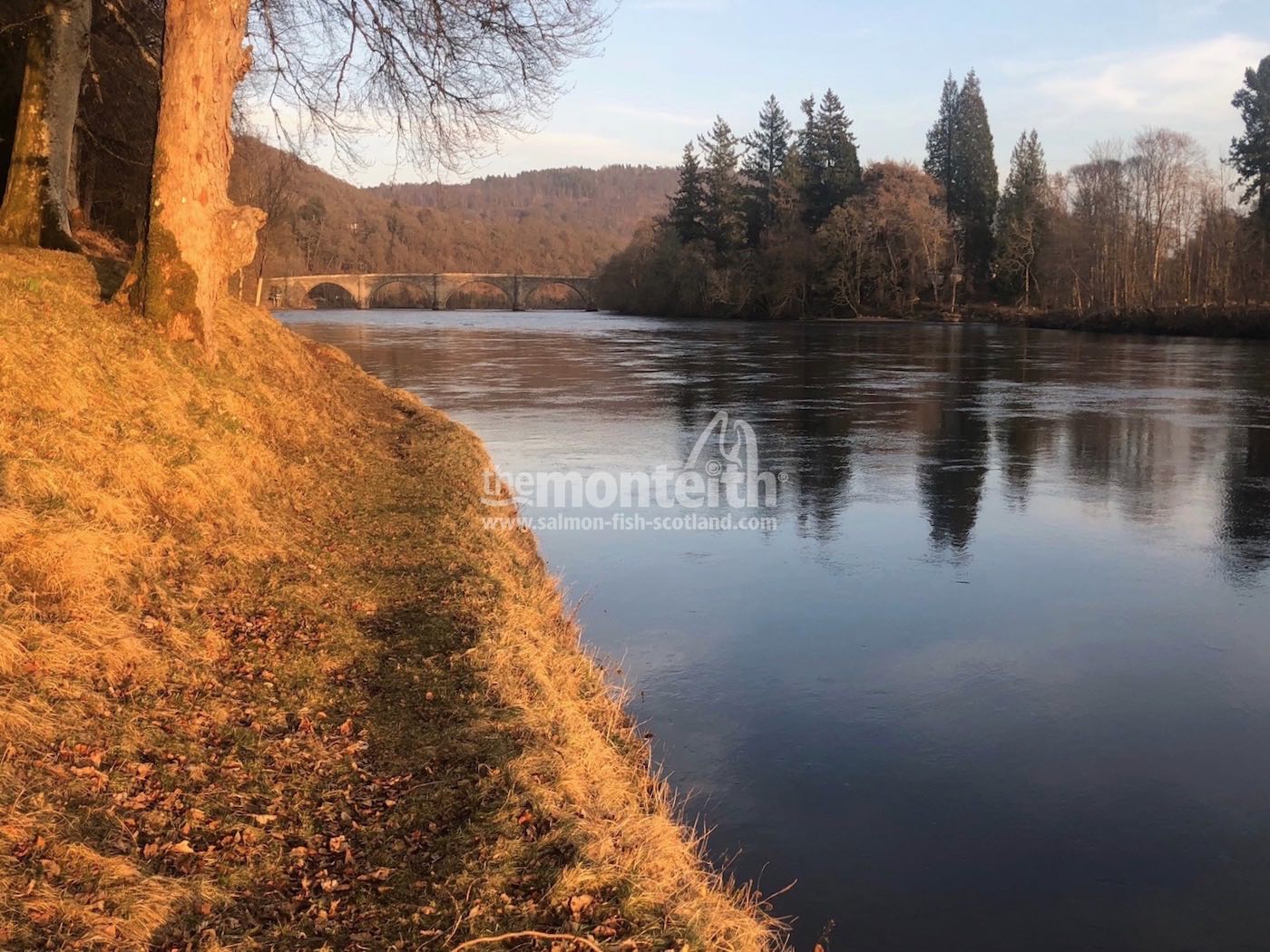 The Gauge Tree Pool on the Dunkeld House salmon beat