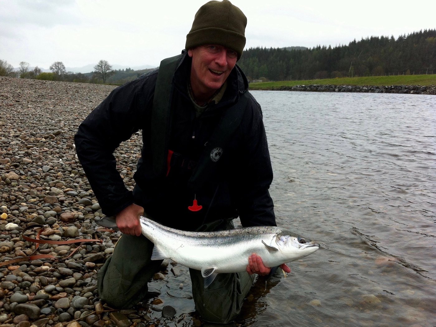 This perfect salmon was landed during rough weather conditions on the beautiful & productive Guay Pool of the River Tay near Dunkeld. This fine fish weighed 12lbs and was soon released to the river to continue its upstream journey. This was this Irish fisher's first Scottish salmon hence the big smile. I took this salmon capture shot while working as this salmon fishing guest's personal salmon guide that day.