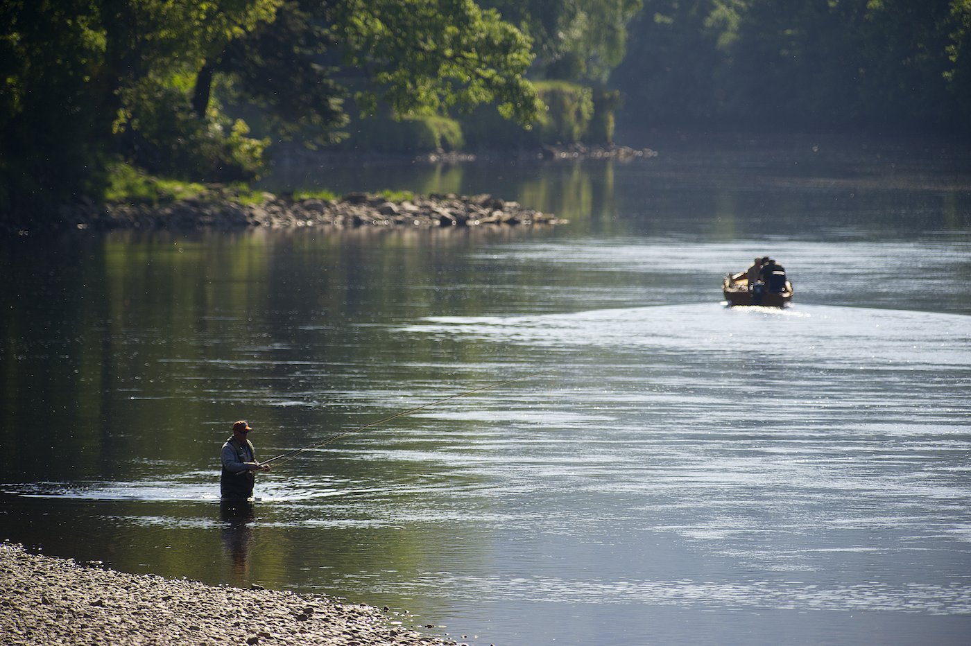 Here's 2 River Tay tactical salmon fishing approaches being deployed simultaneously. The traditional River Tay fishing boat is out covering the salmon lies as a riverbank salmon fisher is fishing down behind the boat with a spinning rod.