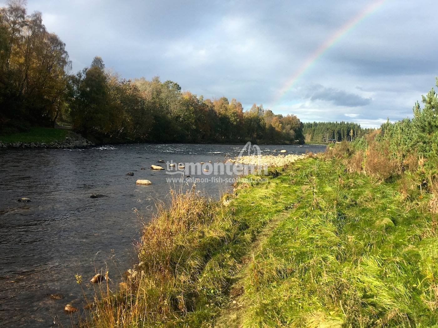 Aboyne