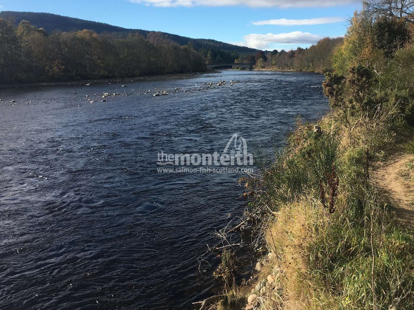 Aboyne