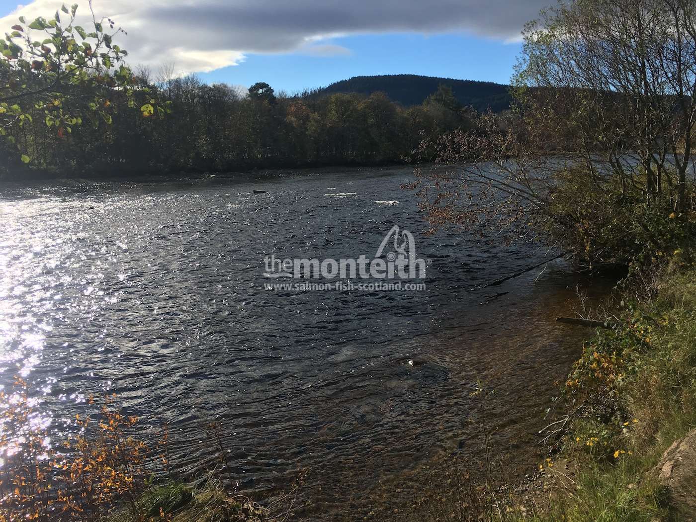 Aboyne