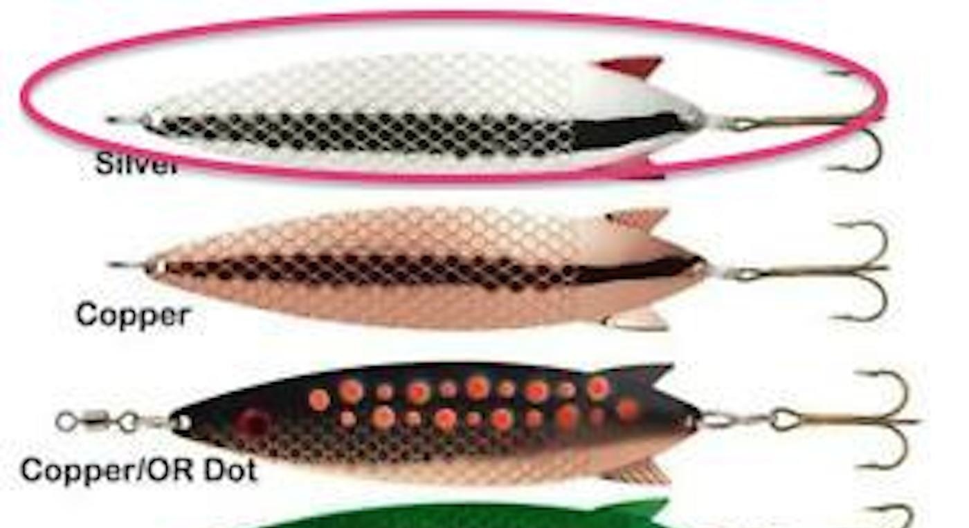 The ABU Toby 'Salmo' lure is a great spin fishing lure on the River Tay and especially in the circled colour above. Silver & Copper have always been great salmon attractors and this wider bodied 30g Toby 'Salmo' has an excellent flutter action in the stream.