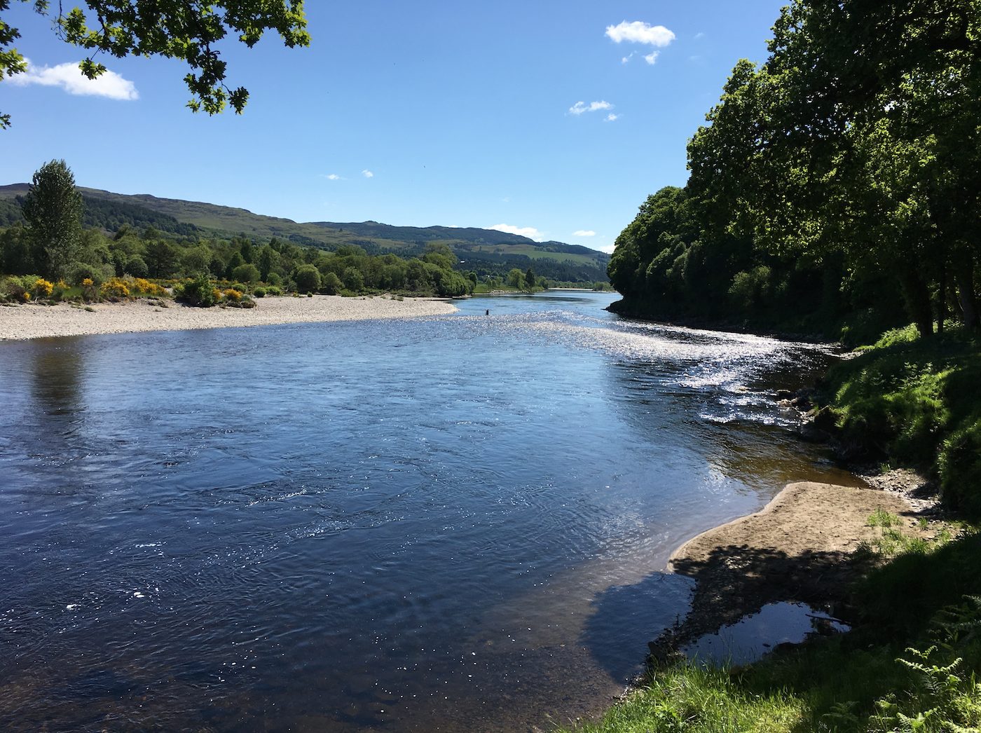 Look at this for low summer water salmon pool perfection. This is the right hand bank of the River Tay on the Kinnaird Beat's March Pool. Many of our salmon fishing holiday guests catch salmon in this lovely pool each year while being looked after by our excellent salmon fishing guide team members. The best salmon lie hot spot here is in the shadow cast by the single tree on the opposite riverbank.