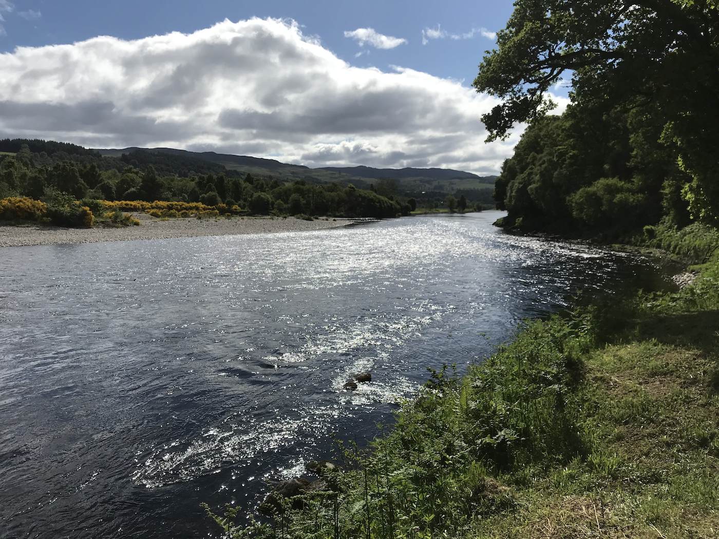 Here's the most perfect classroom of all for learning how to fish for salmon with a double handed fly rod. Many salmon are caught on this perfect area of the River Tay which is located just over an hour north of Glasgow & Edinburgh. 