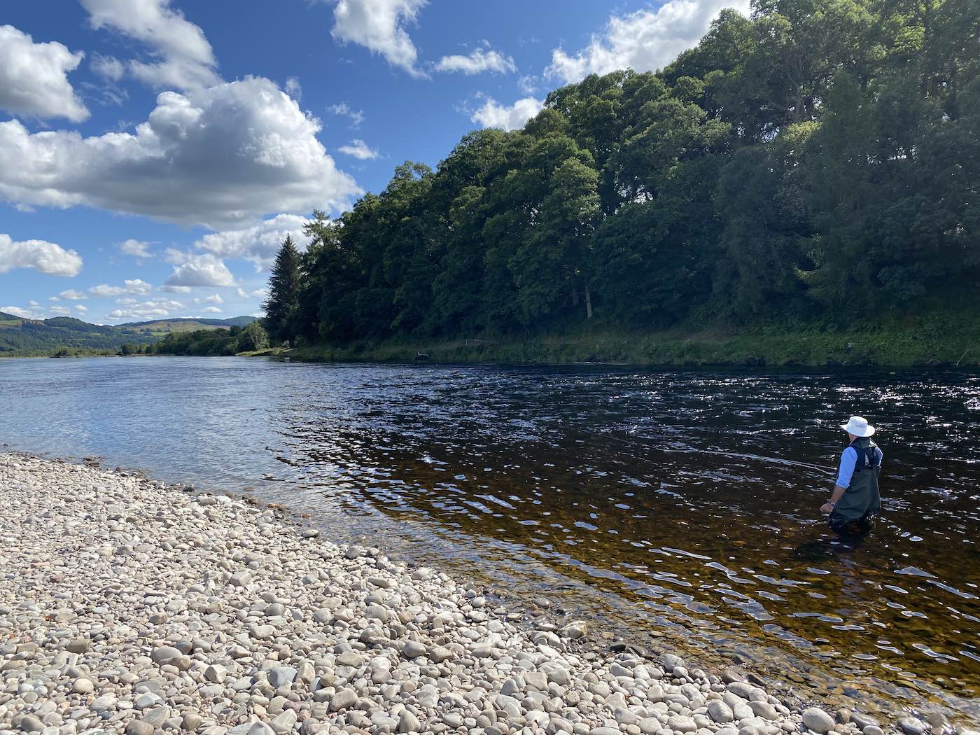 This salmon fisher is out presenting his fly on the lovely Meetings Pool of the River Tay at Kinnaird. This entire area of the Tay Valley is steeped in natural beauty and attracts many salmon fishers each year. Book a professional River Tay salmon get to show you all of these middle Tay fly fishing hot spots.