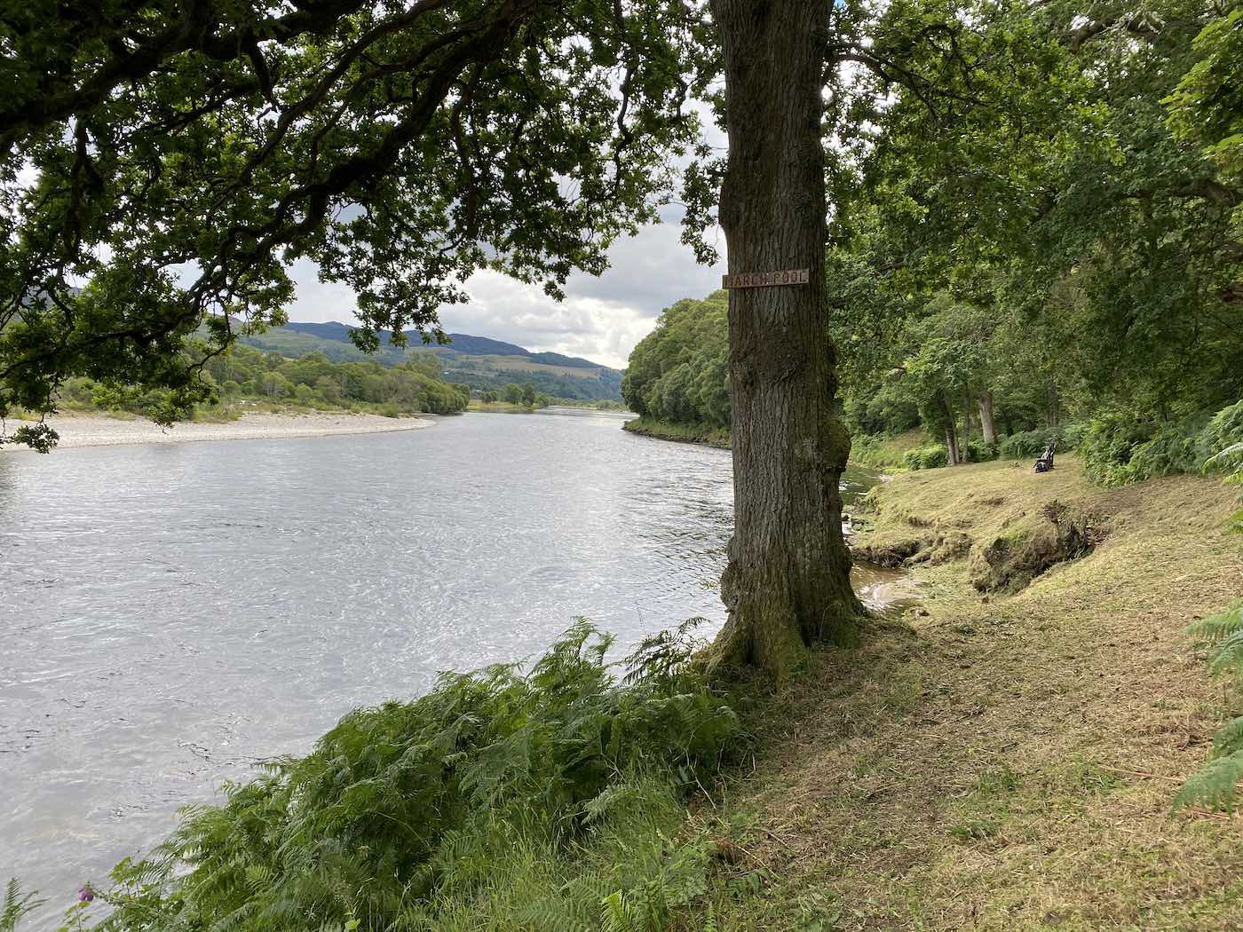 Here's a fine shot of a beautiful oak tree that's located right at the River Tummel confluence of the River Tay. These perfectly cut riverbanks are important for the general enjoyment and safety of visiting salmon fishers. This perfect area of the River Tay Valley is located close to the Perthshire towns of Dunkeld & Pitlochry.